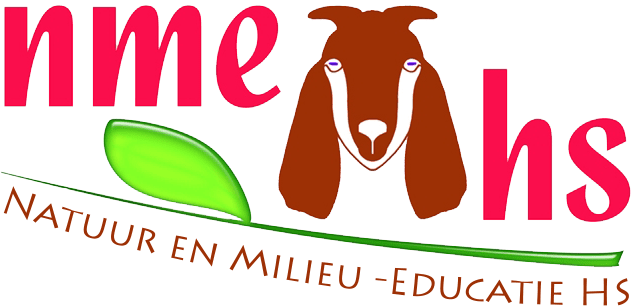 logo nme hs