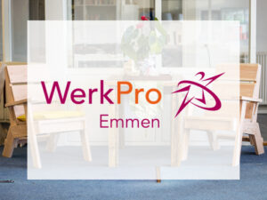 werkpro emmen