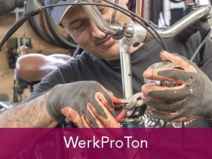 Werkproton