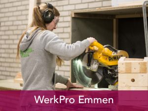 WerkPro Emmen