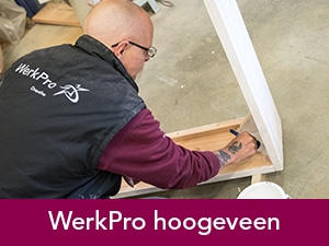 WerkPro Hoogeveen